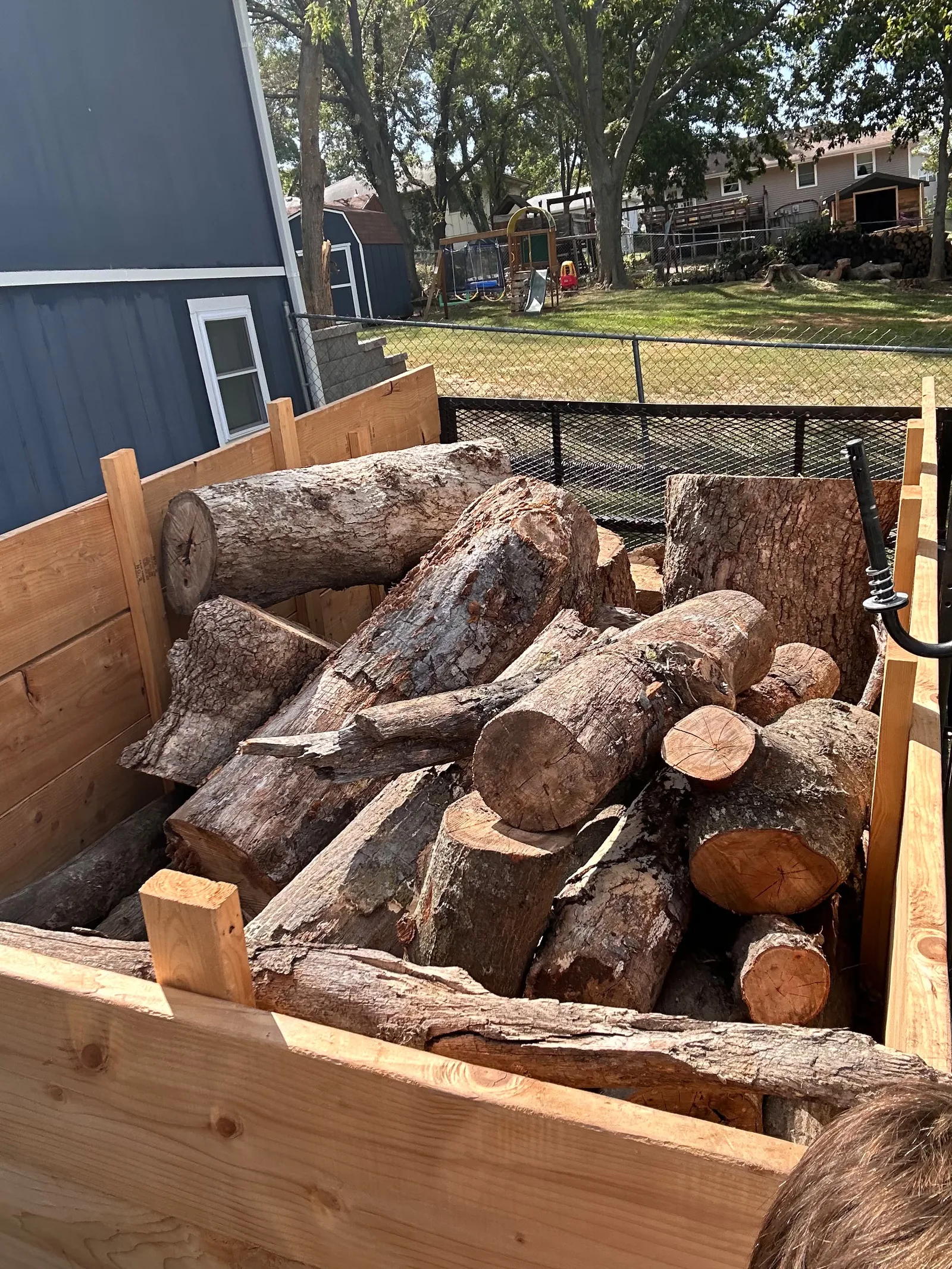 Utility trailer loaded with large cut tree logs for removal