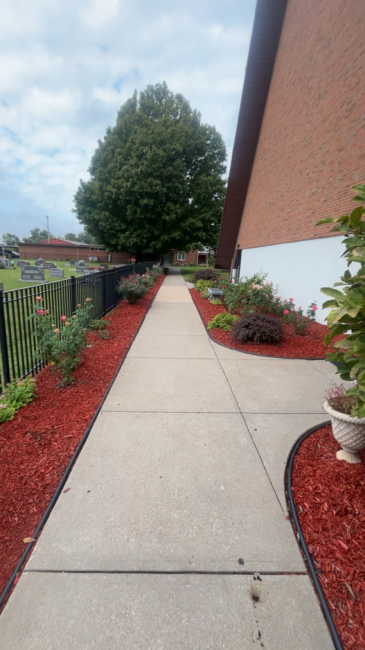 Red mulch beds with flowers lining a concrete walkway